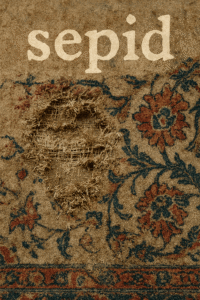 عوامل خرابی فرش | قالیشویی سپید